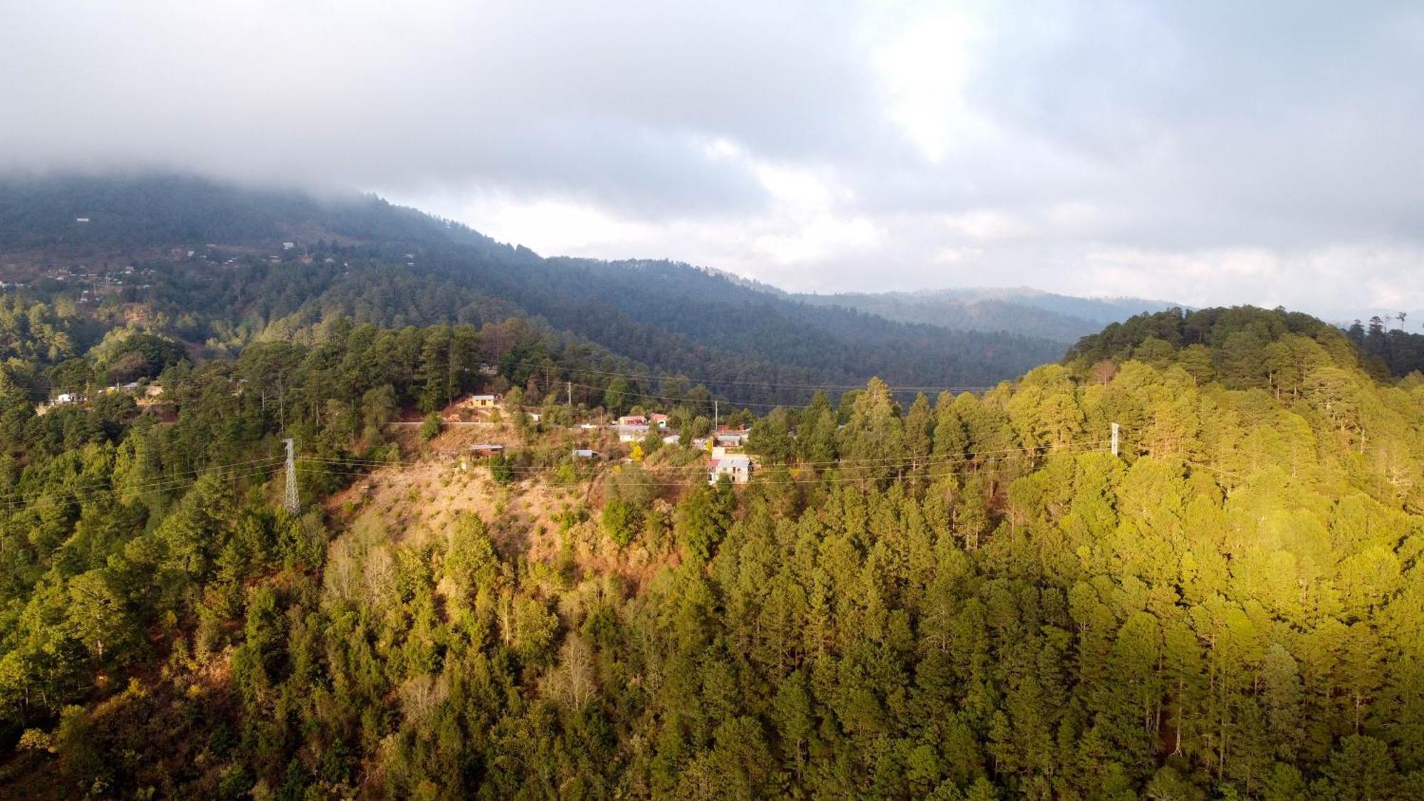 San Jose Del Pacifico- Cabanas Camino Al Cielo 2 외부 사진