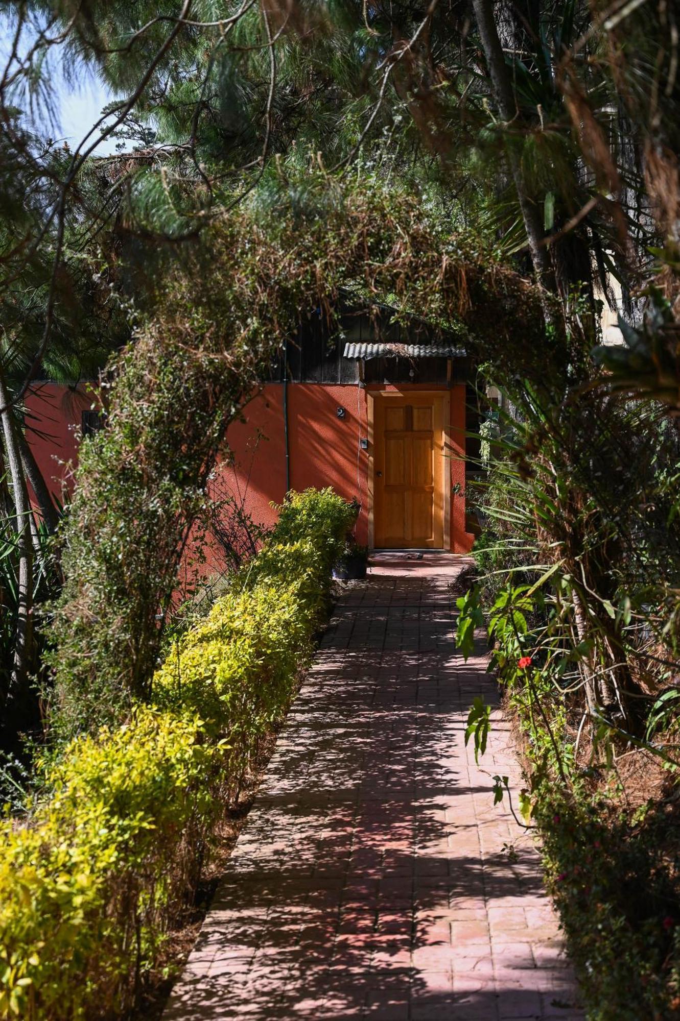 San Jose Del Pacifico- Cabanas Camino Al Cielo 2 외부 사진